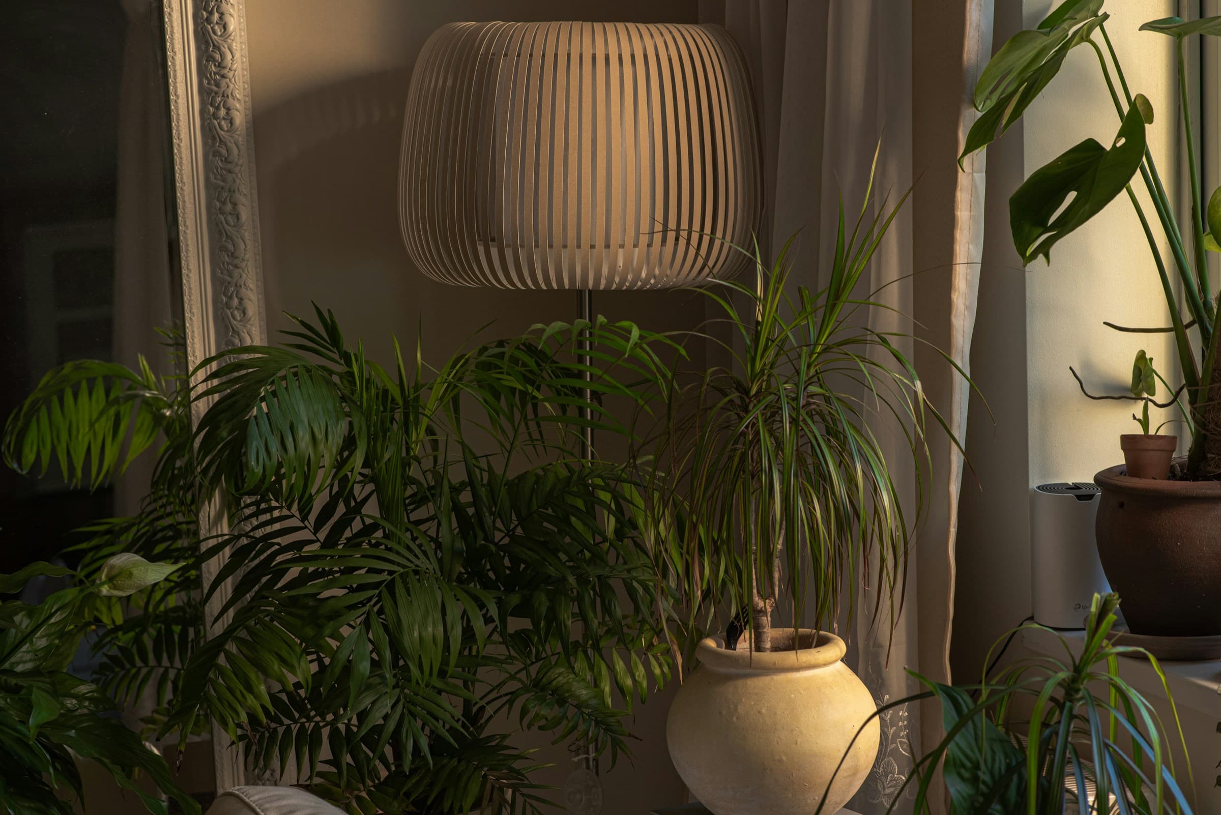 Boheme Retreat
